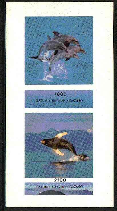 Dolphins and Whales