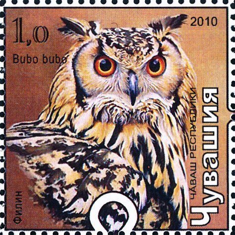 Eagle owl