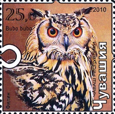 Eagle owl