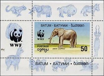 Elephant