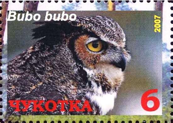 Eurasian eagle-owl (Bubo bubo)