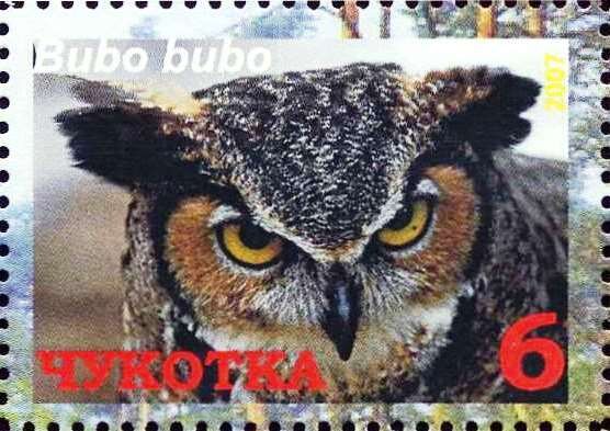 Eurasian eagle-owl (Bubo bubo)