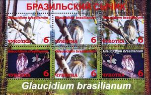 Mini Sheet, Ferruginous pygmy owl (Glaucidium brasilianum, Cinderellas,  , Animals (Fauna), Birds, Birds of Prey, Owls