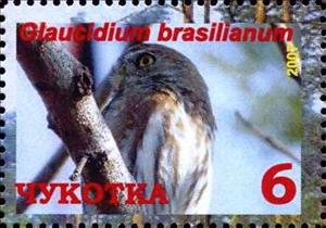 Stamp, Ferruginous pygmy owl (Glaucidium brasilianum), Cinderellas,  , Animals (Fauna), Birds, Birds of Prey, Owls