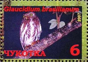 Stamp, Ferruginous pygmy owl (Glaucidium brasilianum), Cinderellas,  , Animals (Fauna), Birds, Birds of Prey, Owls