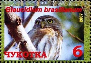 Stamp, Ferruginous pygmy owl (Glaucidium brasilianum), Cinderellas,  , Animals (Fauna), Birds, Birds of Prey, Owls