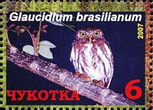 Stamp, Ferruginous pygmy owl (Glaucidium brasilianum), Cinderellas,  , Animals (Fauna), Birds, Birds of Prey, Owls