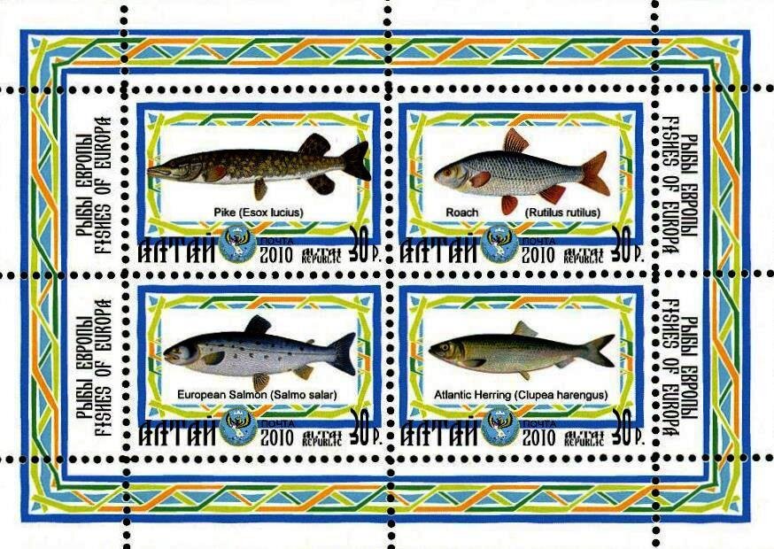 Fishes of Europe