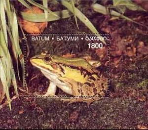 Souvenir Sheet, Frogs, Cinderellas,  , Animals (Fauna), Frogs