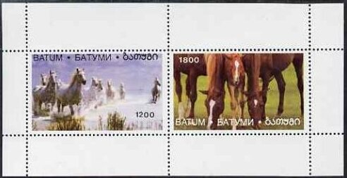 Horses