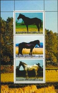 Mini Sheet, Horses, Cinderellas,  , Animals (Fauna), Horses, Mammals