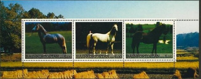 Mini Sheet, Horses, Cinderellas,  , Animals (Fauna), Horses, Mammals
