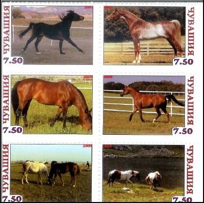 Horses