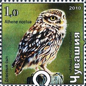 Stamp, Little owl, Cinderellas,  , Animals (Fauna), Birds, Birds of Prey, Owls