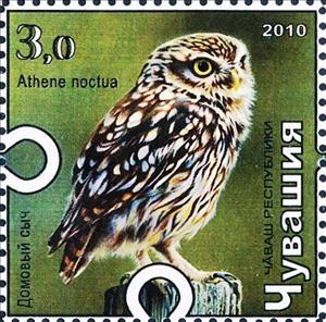 Stamp, Little owl, Cinderellas,  , Animals (Fauna), Birds, Birds of Prey, Owls