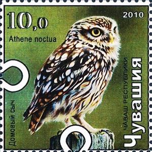 Stamp, Little owl, Cinderellas,  , Animals (Fauna), Birds, Birds of Prey, Owls