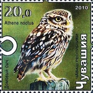 Stamp, Little owl, Cinderellas,  , Animals (Fauna), Birds, Birds of Prey, Owls