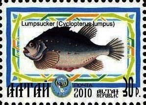 Stamp, Lumpsucker, Cinderellas,  , Animals (Fauna), Fishes