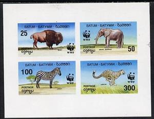 Mini Sheet, Mammals, Cinderellas,  , Animals (Fauna), Bison, Cheetahs, Elephants, Mammals, Zebras