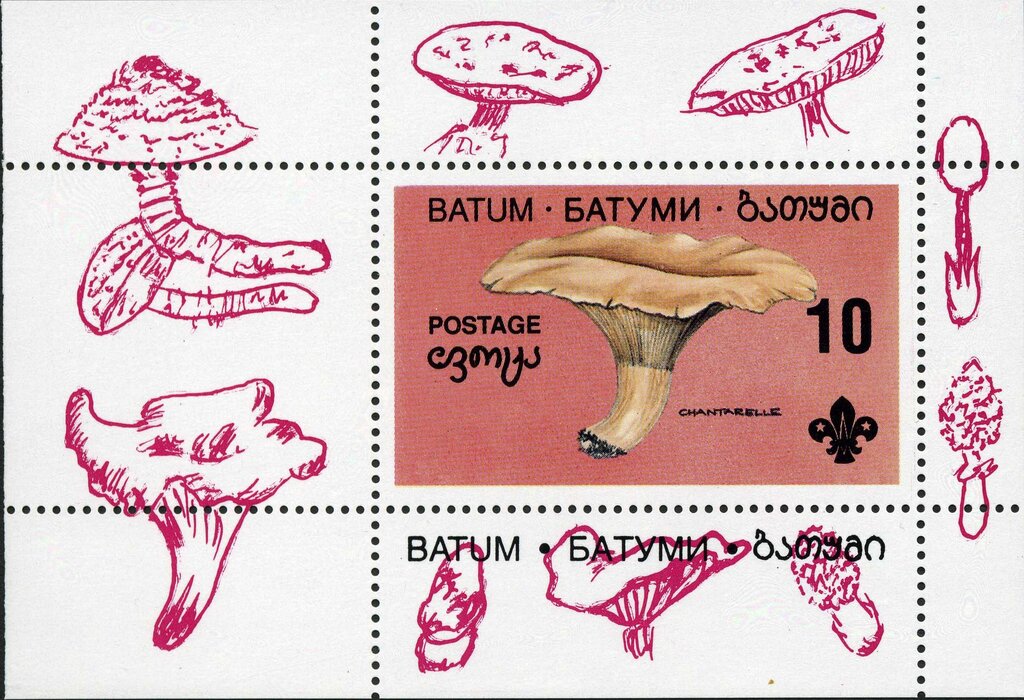 Mushroom