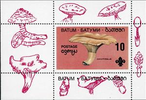 Souvenir Sheet, Mushroom, Cinderellas,  , Mushrooms