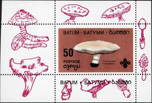 Souvenir Sheet, Mushroom, Cinderellas,  , Mushrooms