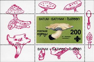 Souvenir Sheet, Mushroom, Cinderellas,  , Mushrooms