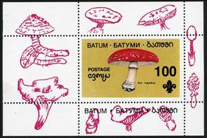 Souvenir Sheet, Mushroom, Cinderellas,  , Mushrooms