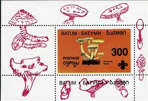 Souvenir Sheet, Mushroom, Cinderellas,  , Mushrooms