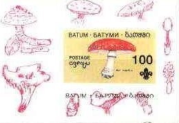 Mushroom