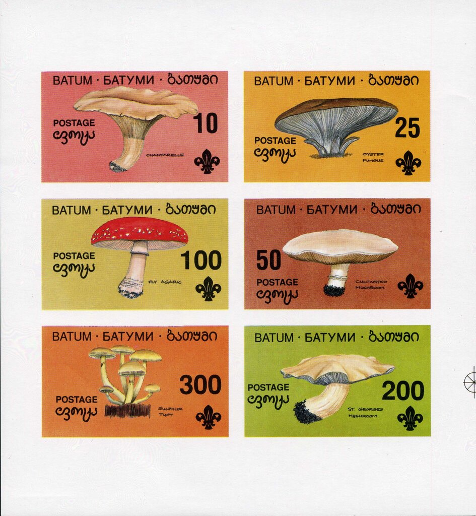 Mushrooms