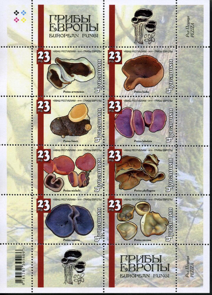 Mushrooms