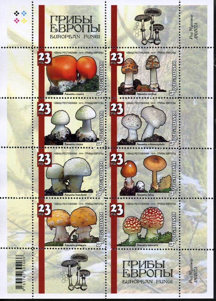 Mushrooms