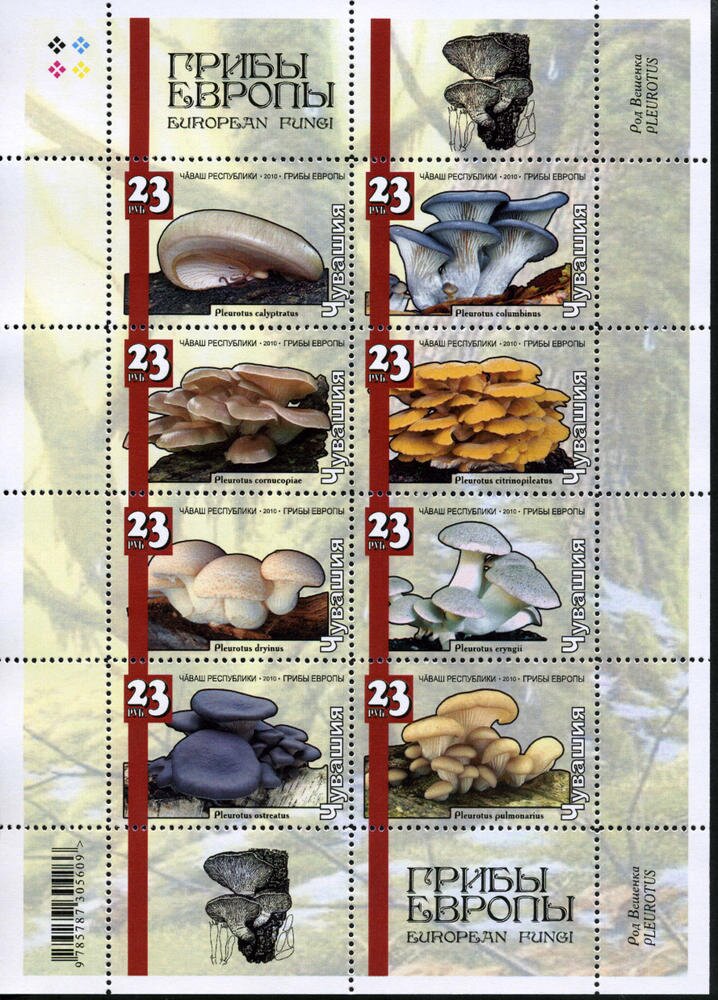 Mushrooms