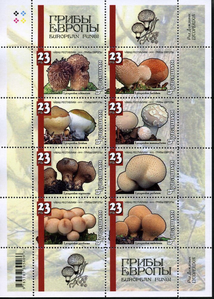 Mushrooms