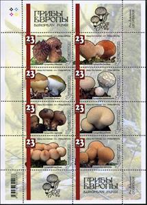 Mini Sheet, Mushrooms, Cinderellas,  , Mushrooms