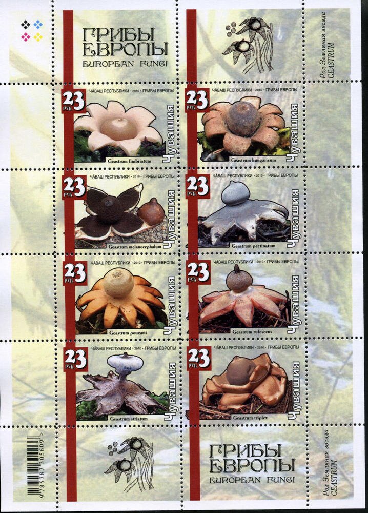 Mushrooms