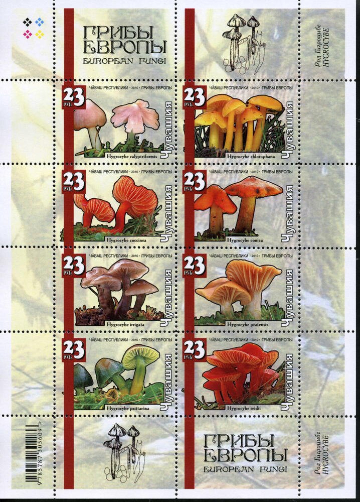 Mushrooms