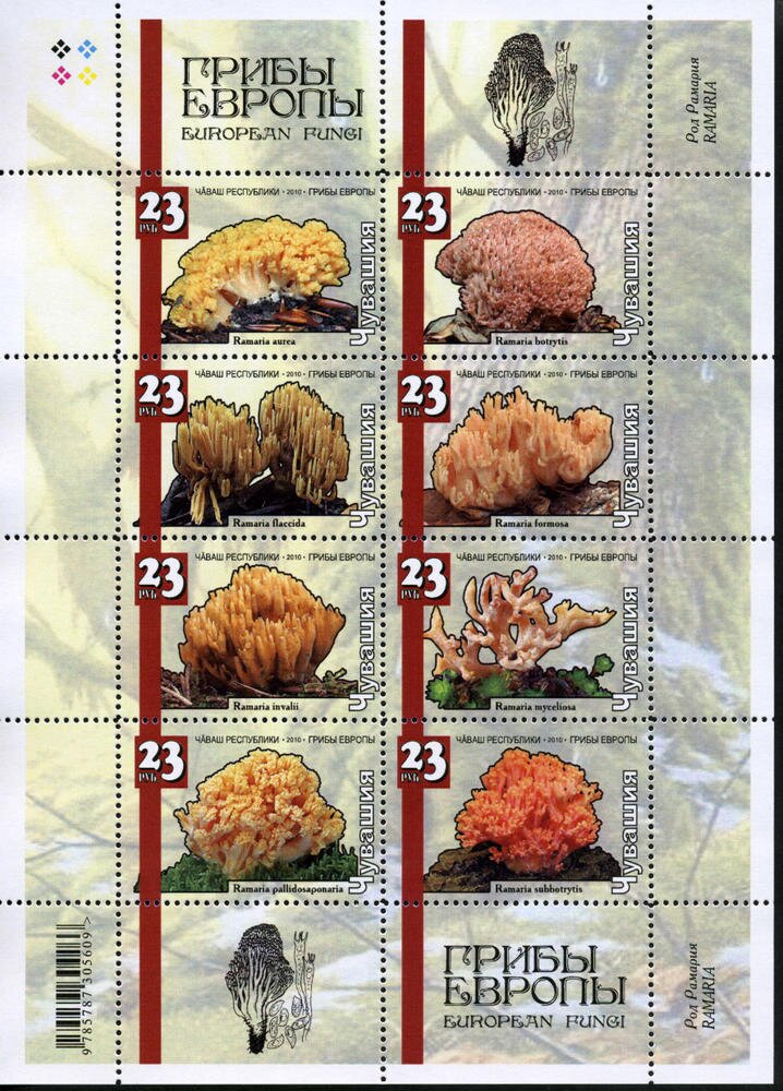 Mushrooms