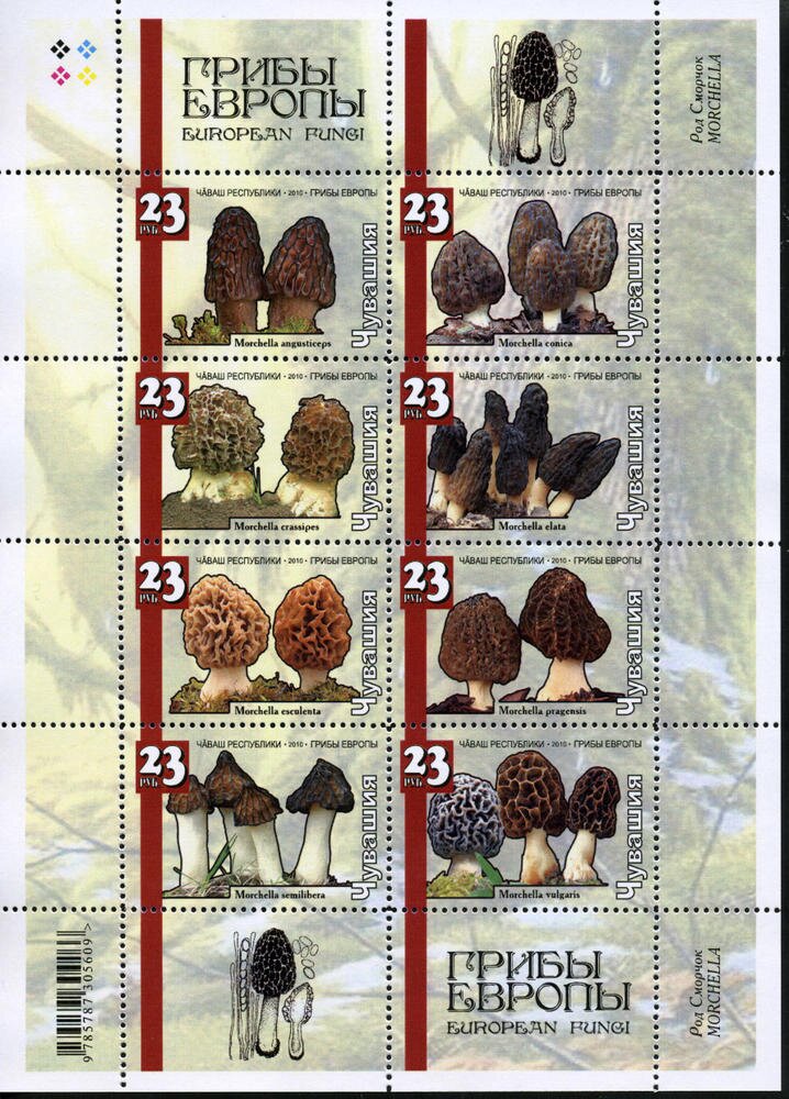 Mushrooms