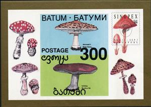 Souvenir Sheet, Mushrooms - "SINGPEX '94" overprint, Cinderellas,  , Mushrooms