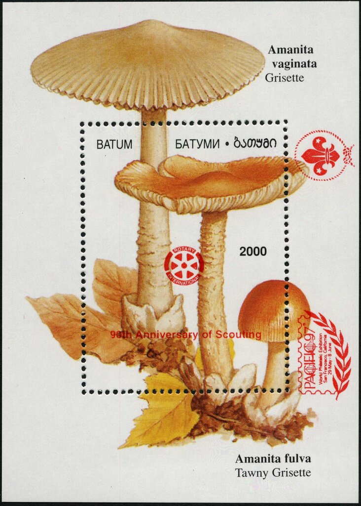Mushrooms - red overprint PACIFIC '97