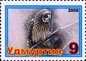 Stamp, Owl, Cinderellas,  , Animals (Fauna), Birds, Birds of Prey, Owls