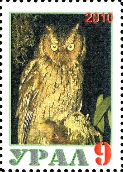 Owl