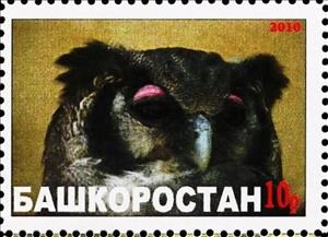 Stamp, Owl, Cinderellas,  , Animals (Fauna), Birds, Birds of Prey, Owls