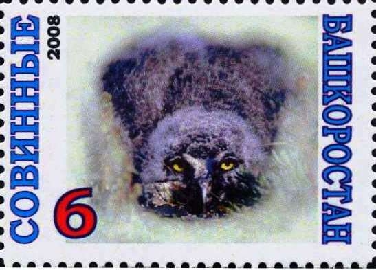 Owl