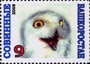 Stamp, Owl, Cinderellas,  , Animals (Fauna), Birds, Birds of Prey, Owls