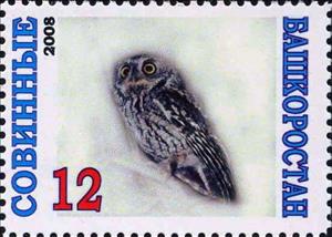 Stamp, Owl, Cinderellas,  , Animals (Fauna), Birds, Birds of Prey, Owls