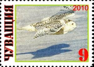Stamp, Owl, Cinderellas,  , Animals (Fauna), Birds, Birds of Prey, Owls