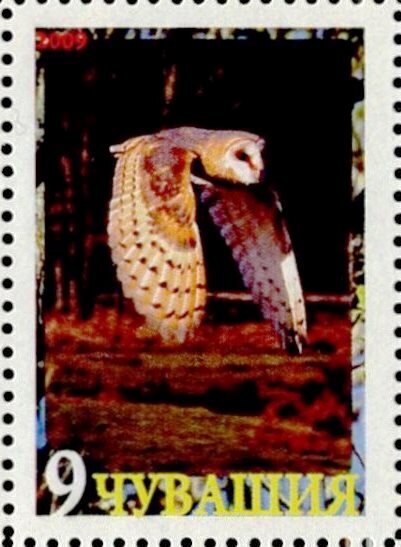 Owl